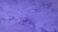 Задник до фильму"" #736967