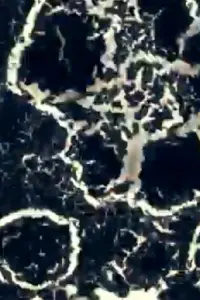 Постер до фильму"" #733184