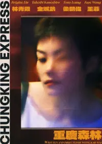 Постер до фильму"Чунцінський експрес" #853142
