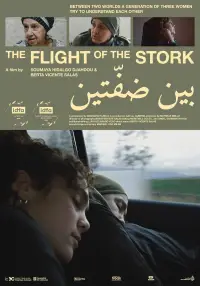The Flight of the Stork
