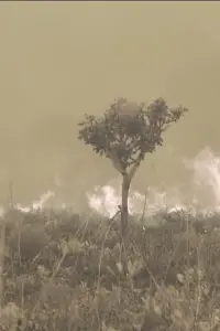 Tales from the Source