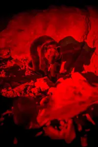 Постер до фильму"" #1024859