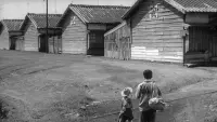 Задник до фильму"" #721517