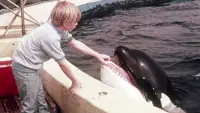 Задник до фильму"" #896936