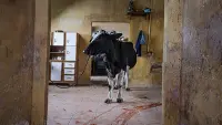 Задник до фильму"" #753557