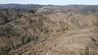 Задник до фильму"" #785756