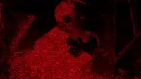 Задник до фильму"" #875064