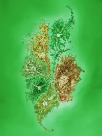 Постер до фильму"" #895958