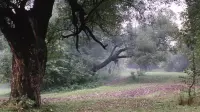 Задник до фильму"Соляріс" #835585