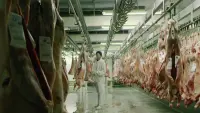 Задник до фильму"" #844297