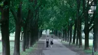 Задник до фильму"" #893949
