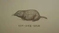 Задник до фильму"" #727300