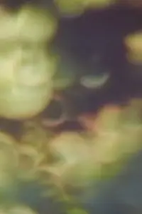 Постер до фильму"" #1158824