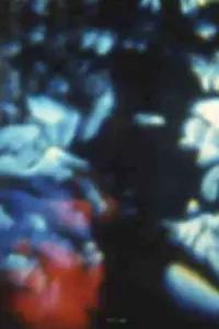 Постер до фильму"Пісня 16" #1050083