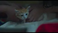Задник до фильму"" #831159