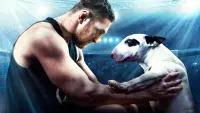 Задник до фильму"Бультерьер" #840581