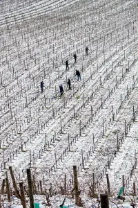 Постер до фильму"" #1080970