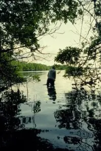 Постер до фильму"" #797509