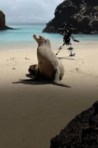 Guardians of the Galapagos