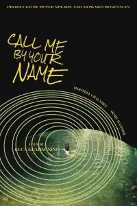 Постер до фильму"Назви мене своїм ім