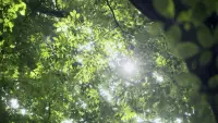 Задник до фильму"" #798477