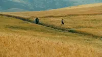 Задник до фильму"" #745459