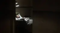 Задник до фильму"" #788014