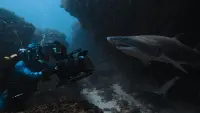 Задник до фильму"" #802080