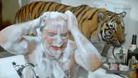 Задник до фильму"Полосатий рейс" #813248