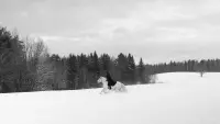Задник до фильму"" #828213