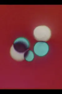 Постер до фильму"" #196992