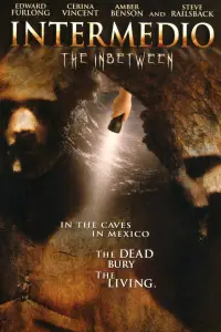 Постер до фильму"" #992864