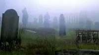 Задник до фильму"" #733747