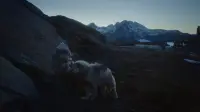 Задник до фильму"" #678093
