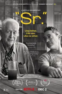 Постер до фильму"Старший" #995626