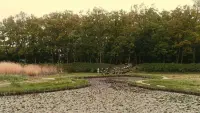 Задник до фильму"" #747026
