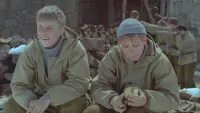 Задник до фильму"Сволочи" #720373