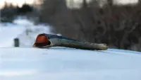 Задник до фильму"" #748895