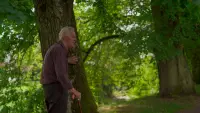 Задник до фильму"" #769933