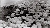 Задник до фильму"" #719978
