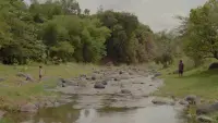 Задник до фильму"" #742472