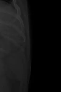 Постер до фильму"" #657888