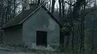 Задник до фильму"" #865838