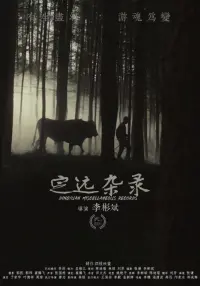 Dingyuan Miscellaneous Records