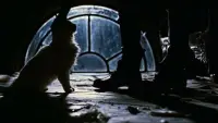 Задник до фильму"Ворон" #503413