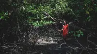 Задник до фильму"" #771994