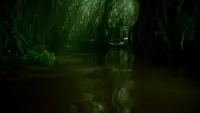 Задник до фильму"" #383249