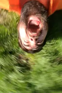 Постер до фильму"" #368892