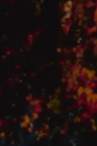 Постер до фильму"" #1037294