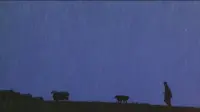Задник до фильму"Бейб" #751982